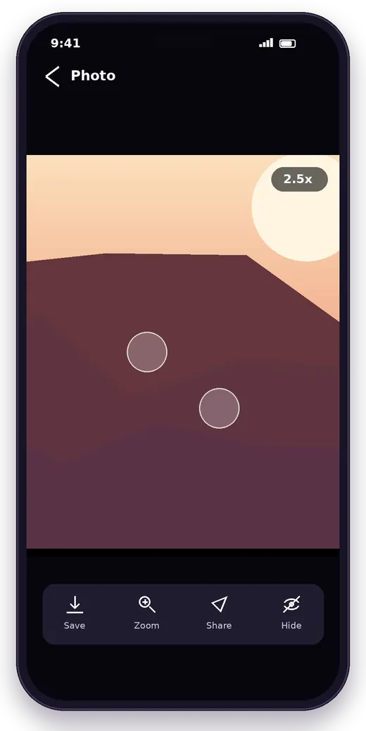 Concept mockup of a photo viewer with zoom and save controls